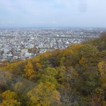 中腹あたりの紅葉風景と札幌の街並み風景