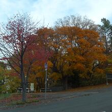 10月後半、麓の紅葉は見ごろ