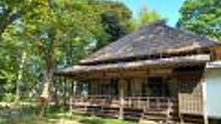 散歩に良い場所です