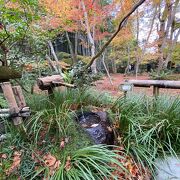 苔と紅葉が綺麗