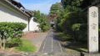 参道の石畳に心安らぐ