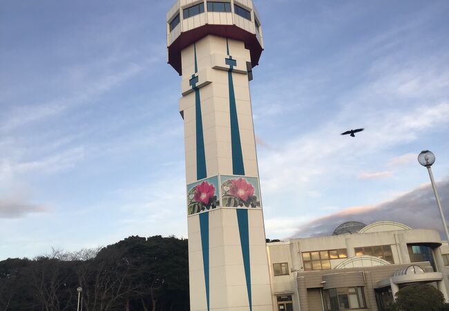 潮騒はまなす公園 クチコミ アクセス 営業時間 鹿島 フォートラベル