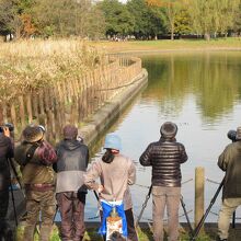 鳥よりカメラマンの数が多い！