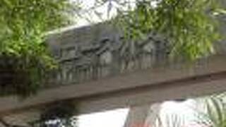 沖縄国際ユースホステル