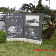 奥武山公園の南寄りにあった兵庫・沖縄 友愛グラウンドの傍に