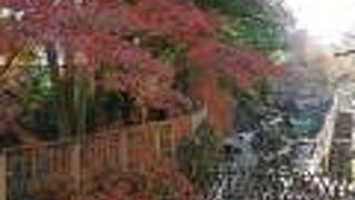 都市公園１００選の一つ