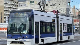 観光名所には便利な路線