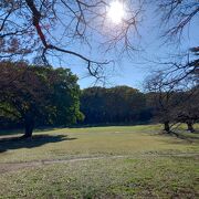 予想以上に広い公園