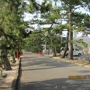 吉備津神社へ続く松並木