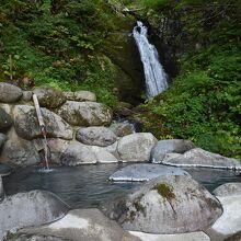 滝見み風呂（途中で蛇に遭遇）なかなかの秘湯