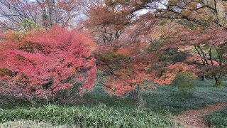 鳥見山公園