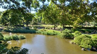 都会のオアシス