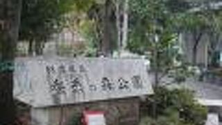 蚕糸の森公園の紅葉