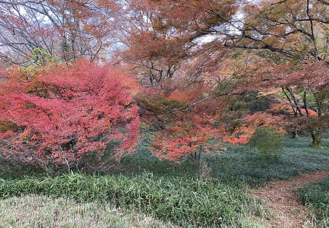 鳥見山公園