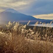 山中湖と富士山を一望