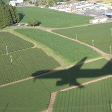 鹿児島空港着陸前の茶畑に映る飛行機の影が好きです。