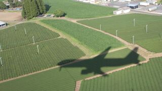 種子島のロケット打ち上げを見るのですが、今回は種子島にはわたりません。