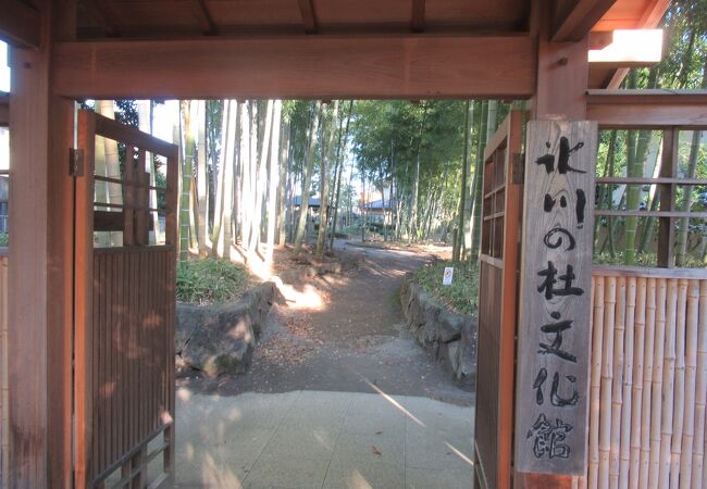 氷川神社の参道の途中にある竹林と庭園