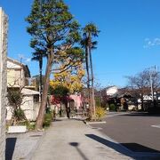 千住宿にある広いお寺