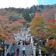 下社まではケーブルカーで行けます。本社は山の上なので登山者用