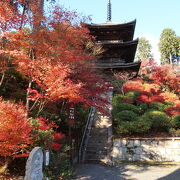 国宝の三重塔を彩る紅葉が美しかったです