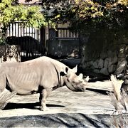 黄葉してる金沢動物園