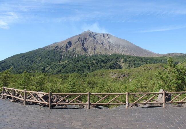 桜島を見るならココ！