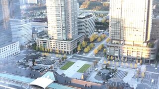 イチョウが美しい