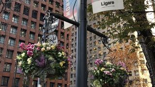 オシャレな通り！