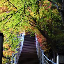 大柳川渓流公園 　遊歩道の吊り橋