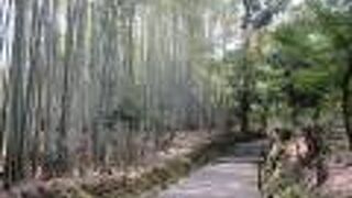 竹がぶつかり合う音が聞こえます