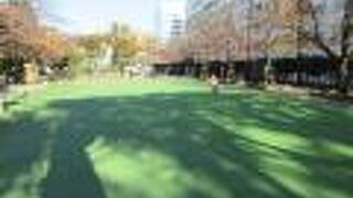 たくさんの桜が植えられています