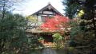 樹木に覆われた広々とした境内が印象的でした