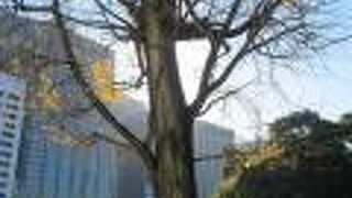 力強さが感じられました