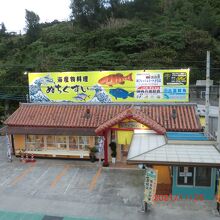 こんな景色です