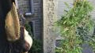 吉村寅太郎は、「土佐四天王」の一人