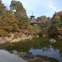 五重塔が見える御殿の北庭