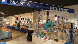 7月に続いて美ら海水族館