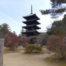 近くで見ても美しい五重塔です