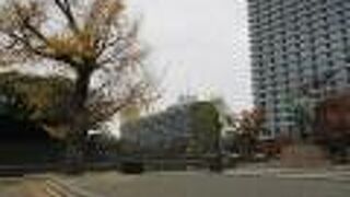 神秘的な生命力の強さに驚かされました