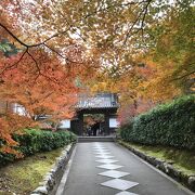 紅葉が非常に美しく、見ごたえ十分なお寺