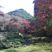 紅葉が美しかった