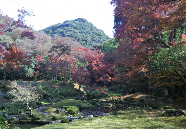 紅葉が美しかった