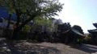 無料で拝観できます