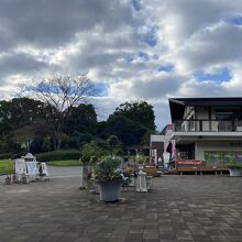 植物園　撮影スポットと売店