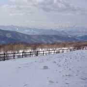 雪道は辛い...