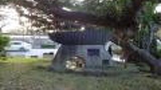 広々とした大きな公園でした。