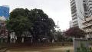 蔡温橋の近くにあります。