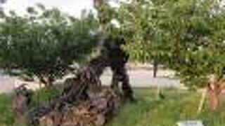 【舟底の記憶】見た目が大小のチヌとは対照的で、作品名に納得です