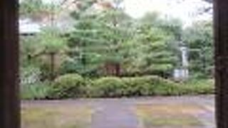 庭がきれいです